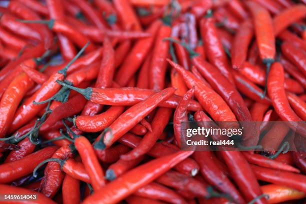 red pepper - cooking chili stock pictures, royalty-free photos & images