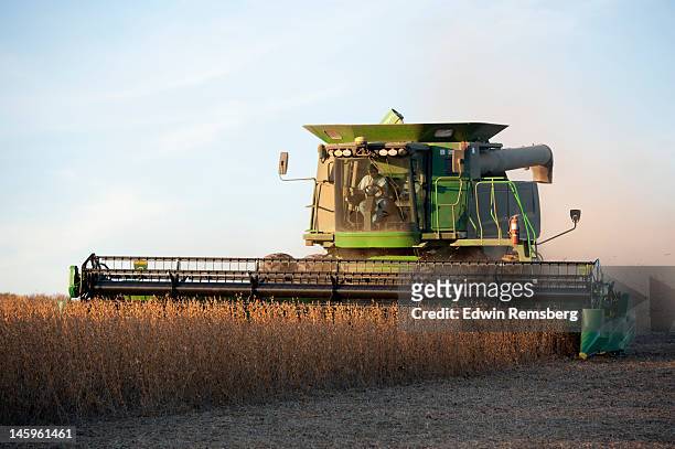 soybean harvest - mähdrescher stock-fotos und bilder