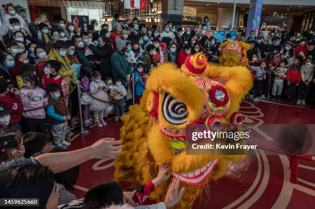 Lion dancers perform for the crowd during Chinese Lunar New Year and Spring Festival activities at a shopping mall on January 26, 2023 in Beijing,...