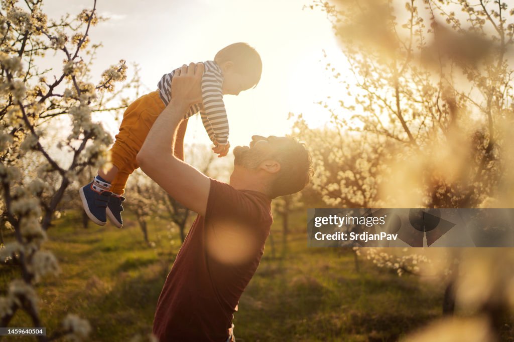 Father and son in a blooming orchard in spring