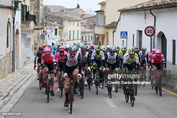 Mikkel Bjerg of Denmark and Team UAE Emirates and Rui Costa of Portugal and Team Intermarche-Circus lead the peloton during the 32nd Challenge...