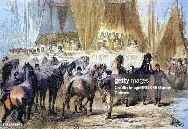 horse show and award ceremony at the palais de lindustrie, the winning horses pass the jury stand, 1869, paris, france, historic, digitally restored reproduction of a 19th century original - industrie 幅插畫檔、美工圖案、卡通及圖標