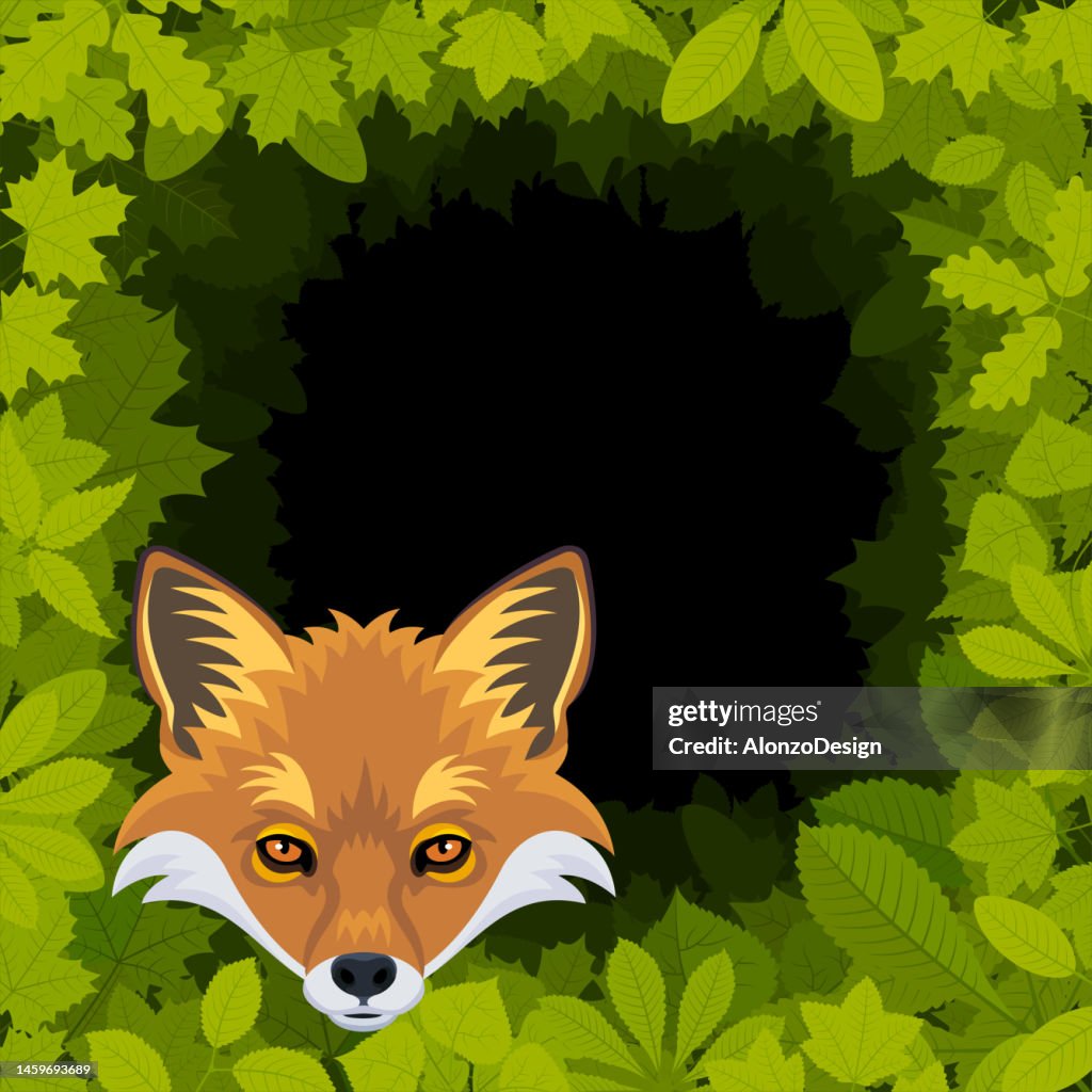 Fox in the forest. Mascot 51³Ô¹ÏÍø Logo Design.