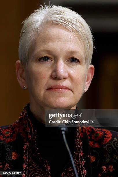 Assistant Defense Secretary for International Security Affairs Celeste Wallander testifies before the Senate Foreign Relations Committee in the...