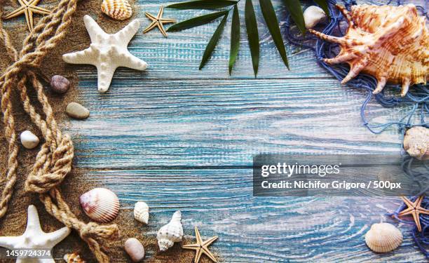 220 Seashell Wallpaper Border Photos and Premium High Res Pictures - Getty Images 220 Seashell Wallpaper Border Photos and Premium High Res Pictures - Getty Images