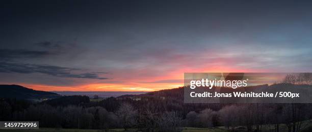 view from sankt englmar into the valley in bavaria,germany - jonas weinitschke stockfoto's en -beelden