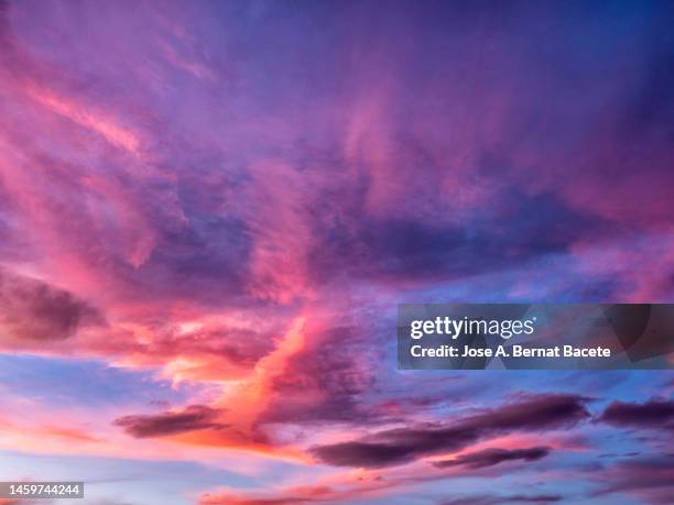 full frame of the low angle view of cirrus clouds in the sky at sunset. - cielo romantico foto e immagini stock