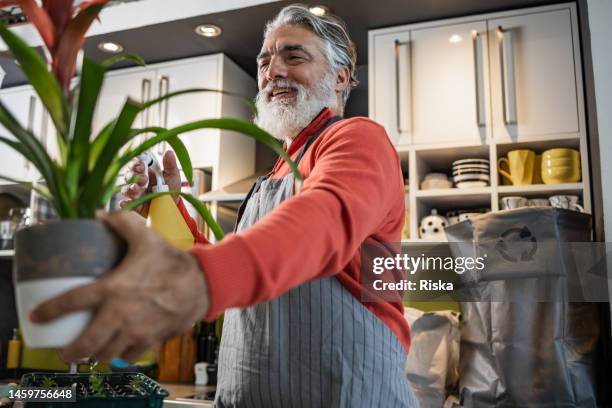 loving my plants - homens de idade mediana imagens e fotografias de stock