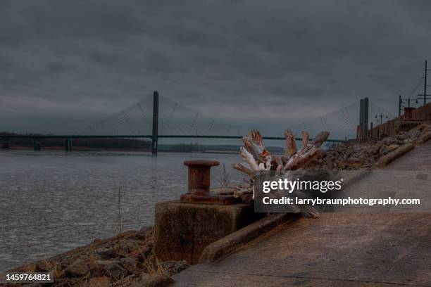 rootwad on the riverwalk - cape girardeau stock pictures, royalty-free photos & images
