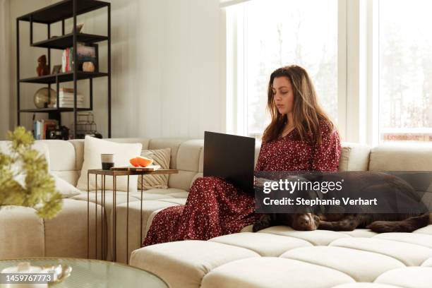 woman using laptop at home - pets thunderstorm stock pictures, royalty-free photos & images