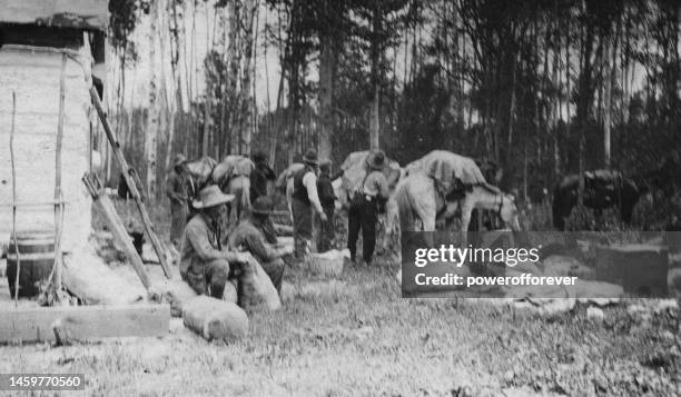 expedition group packing up horses at fort mcmurray in alberta, canada - 1915 - fort mcmurray stock pictures, royalty-free photos & images