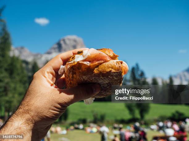 vista pov di un uomo che mangia un panino durante la sua vacanza sulle alpi italiane - spotted foto e immagini stock