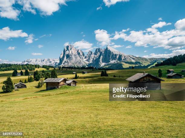 aussicht auf die seiser alm an einem sonnigen tag - berühmtes wahrzeichen in norditalien - gardena stock-fotos und bilder