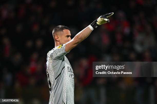 Odysseas Vlachodimos of SL Benfica in action during the Liga Portugal Bwin match between Pacos de Ferreira and SL Benfica at Estadio Capital do Movel...