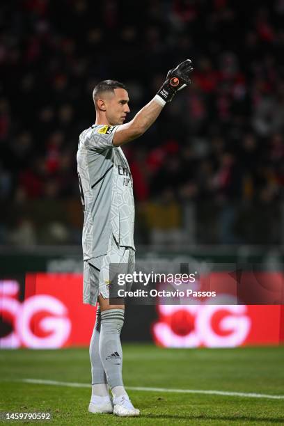 Odysseas Vlachodimos of SL Benfica in action during the Liga Portugal Bwin match between Pacos de Ferreira and SL Benfica at Estadio Capital do Movel...