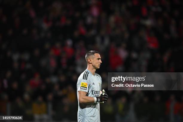 Odysseas Vlachodimos of SL Benfica in action during the Liga Portugal Bwin match between Pacos de Ferreira and SL Benfica at Estadio Capital do Movel...