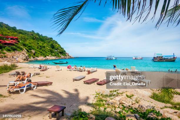 aow luek bay beach in koh tao, thailand - koh tao thailand stock pictures, royalty-free photos & images