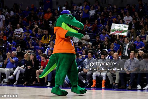 Albert the Alligator, the Mascot of the Florida Gators is seen during the first half of a game at the Stephen C. O'Connell Center on January 25, 2023...