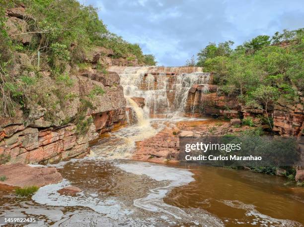 nature in brazil - sedimentary stock pictures, royalty-free photos & images