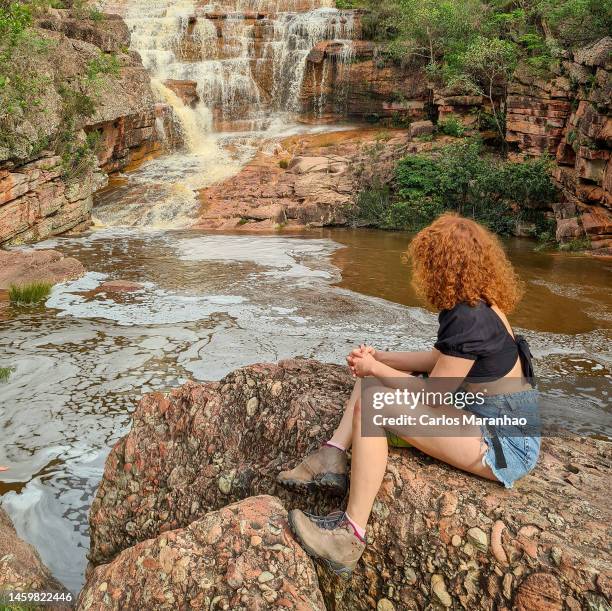 nature in brazil - conglomerate stockfoto's en -beelden