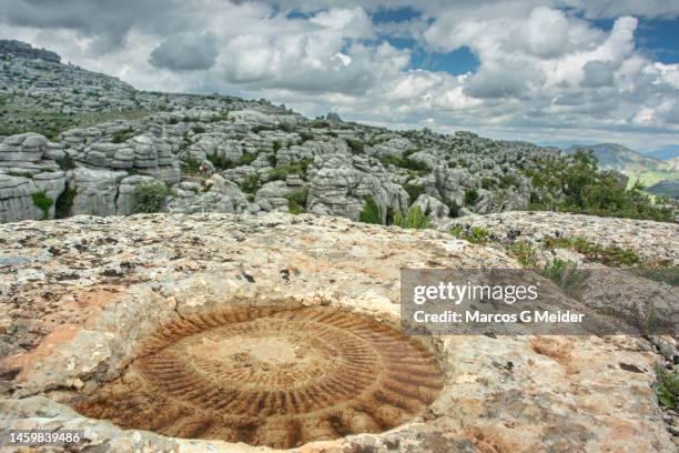 torcal de antequera - paraje natural torcal de antequera stock pictures, royalty-free photos & images