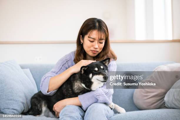 a family interacting with their pet in the living room of their home. - 茅ヶ崎市 fotografías e imágenes de stock