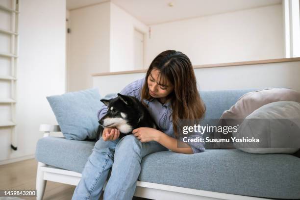 a family interacting with their pet in the living room of their home. - 茅ヶ崎市 fotografías e imágenes de stock