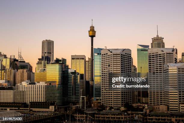 sydney tower stands above a collection of office buildings at sunset as seen from darling harbour - centrepoint tower stockfoto's en -beelden