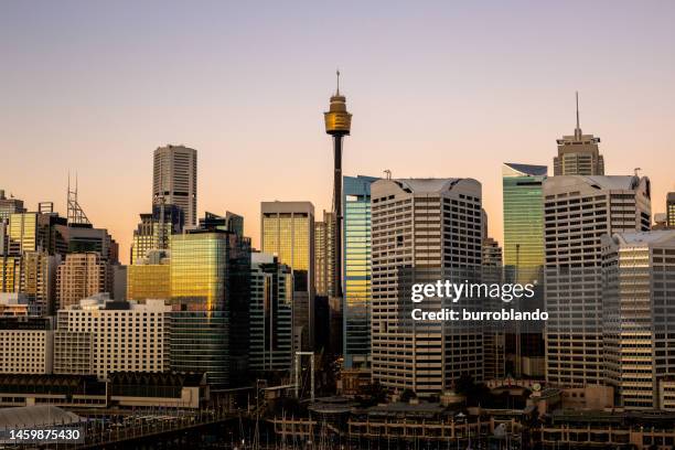 sydney tower stands above a collection of office buildings at sunset as seen from darling harbour - sydney skyline stock pictures, royalty-free photos & images