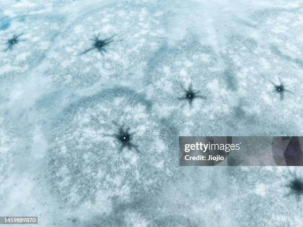 lake stars - dendrite stock pictures, royalty-free photos & images