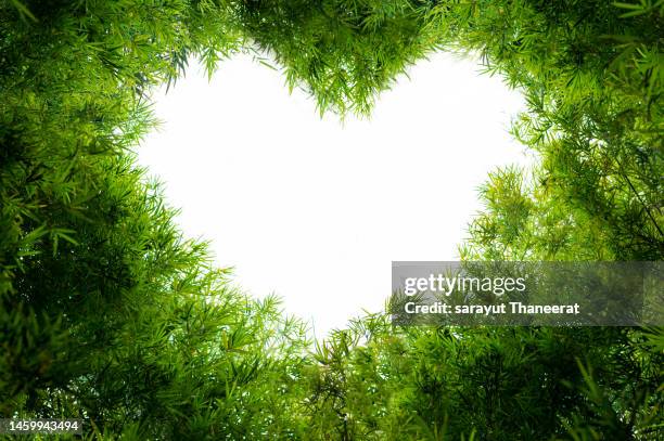 a group of trees sprawling together to form a heart shape, an environmental concept. - sky and trees green leaf illustration foto e immagini stock