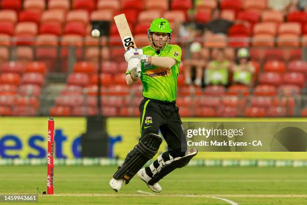 David Warner of the Thunder bats during the Men's Big Bash League match between the Sydney Thunder and the Brisbane Heat at Sydney Showground...