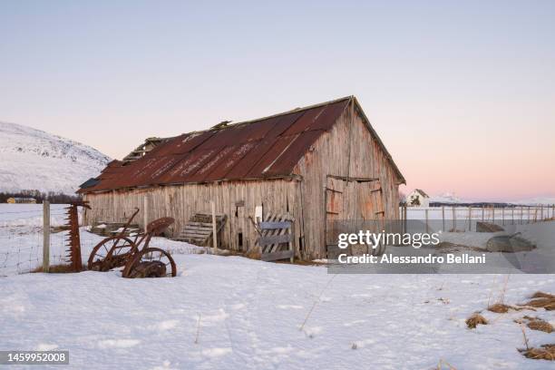 old barn during the norwegian winter, norway - flower stall stock-fotos und bilder