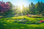beautiful spring garden with flowers and lawn grass, 3D illustration