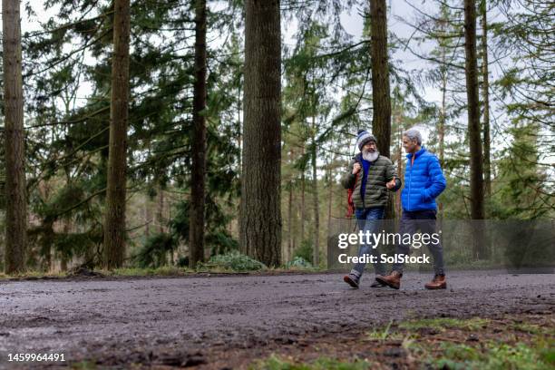 following the trail - walking woods stock pictures, royalty-free photos & images