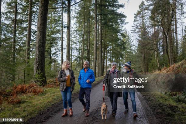 walking the trail together - double date stock pictures, royalty-free photos & images