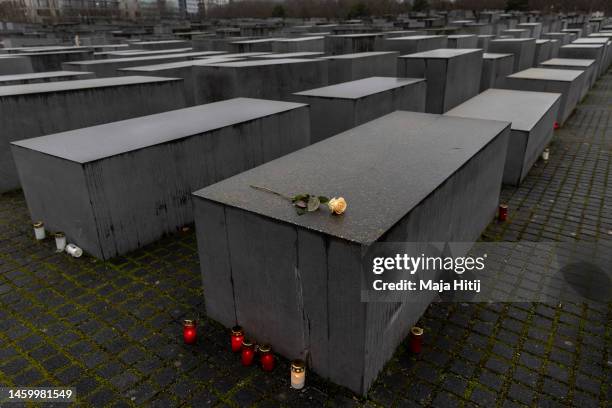 Rose is placed on the Holocaust Memorial on the International Holocaust Remembrance Day on January 27, 2023 in Berlin, Germany. Holocaust Remembrance...