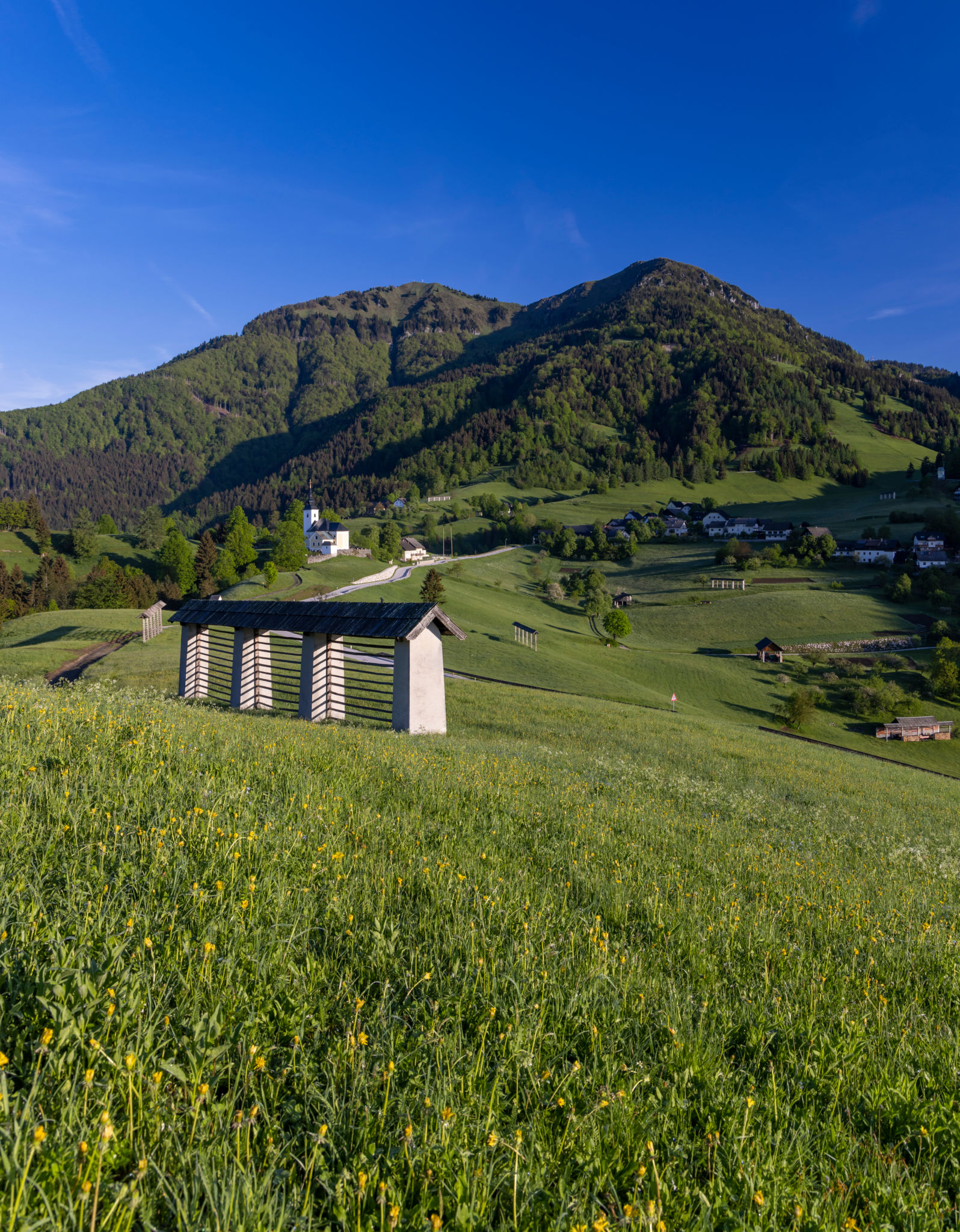 falera spring