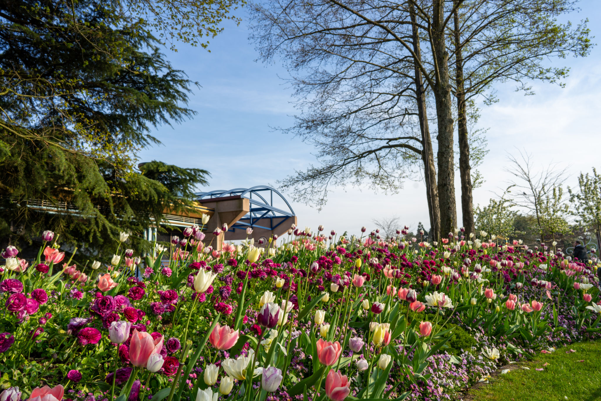 tivoli gardens