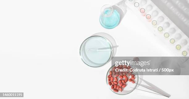 laboratory research of peanuts quality,genetically modified nuts top view of lab equipment,test t,romania - food allergy stock pictures, royalty-free photos & images