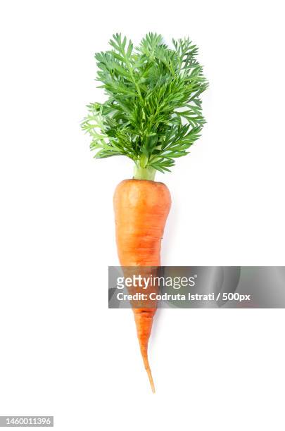 close-up of carrot against white background,romania - root stockfoto's en -beelden