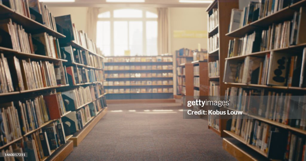 Library, books on bookshelf with story for reading, knowledge and information for education and learning. Wood bookcase, academic and fiction with research and study, book choice and library interior