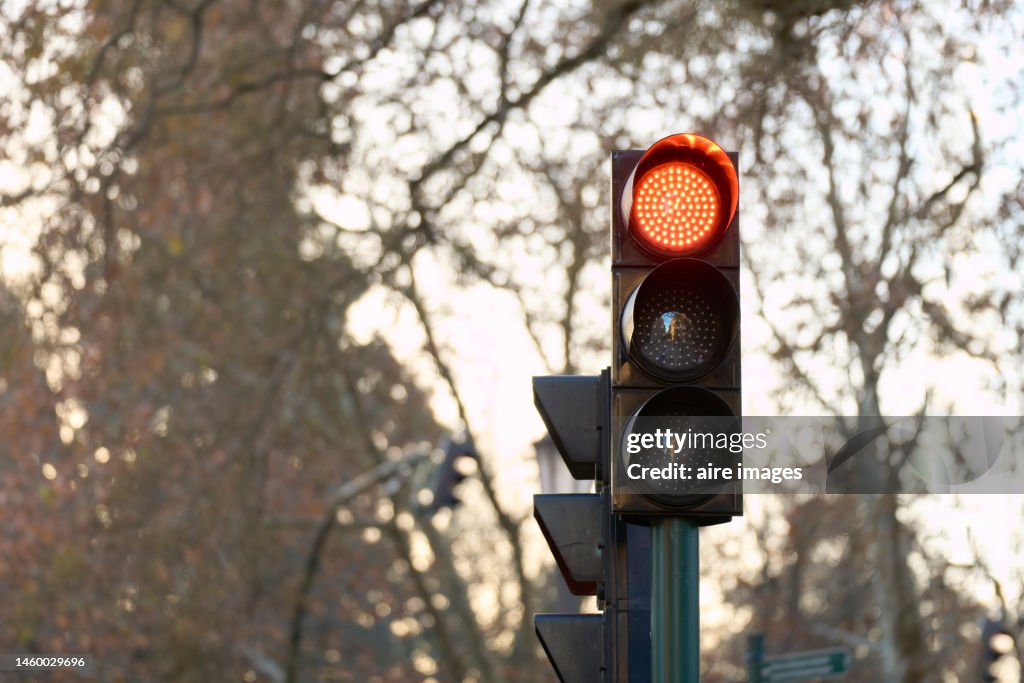 Traffic light at a crosswalk in front view in close-up without people, with trees in the background