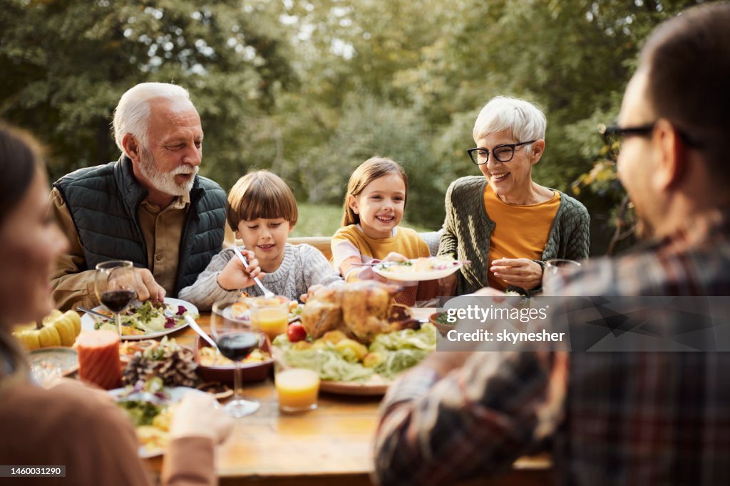 Felice famiglia multi-generazione che pranza nella natura.