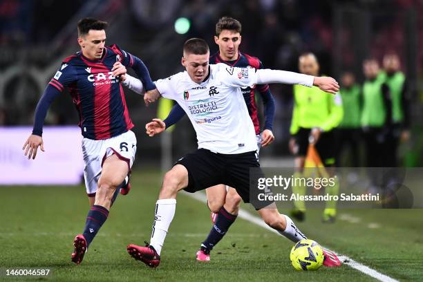 Emil Holm of Spezia Calcio battles for possession with Nikola Moro of Bologna FC during the Serie A match between Bologna FC and Spezia Calcio at...