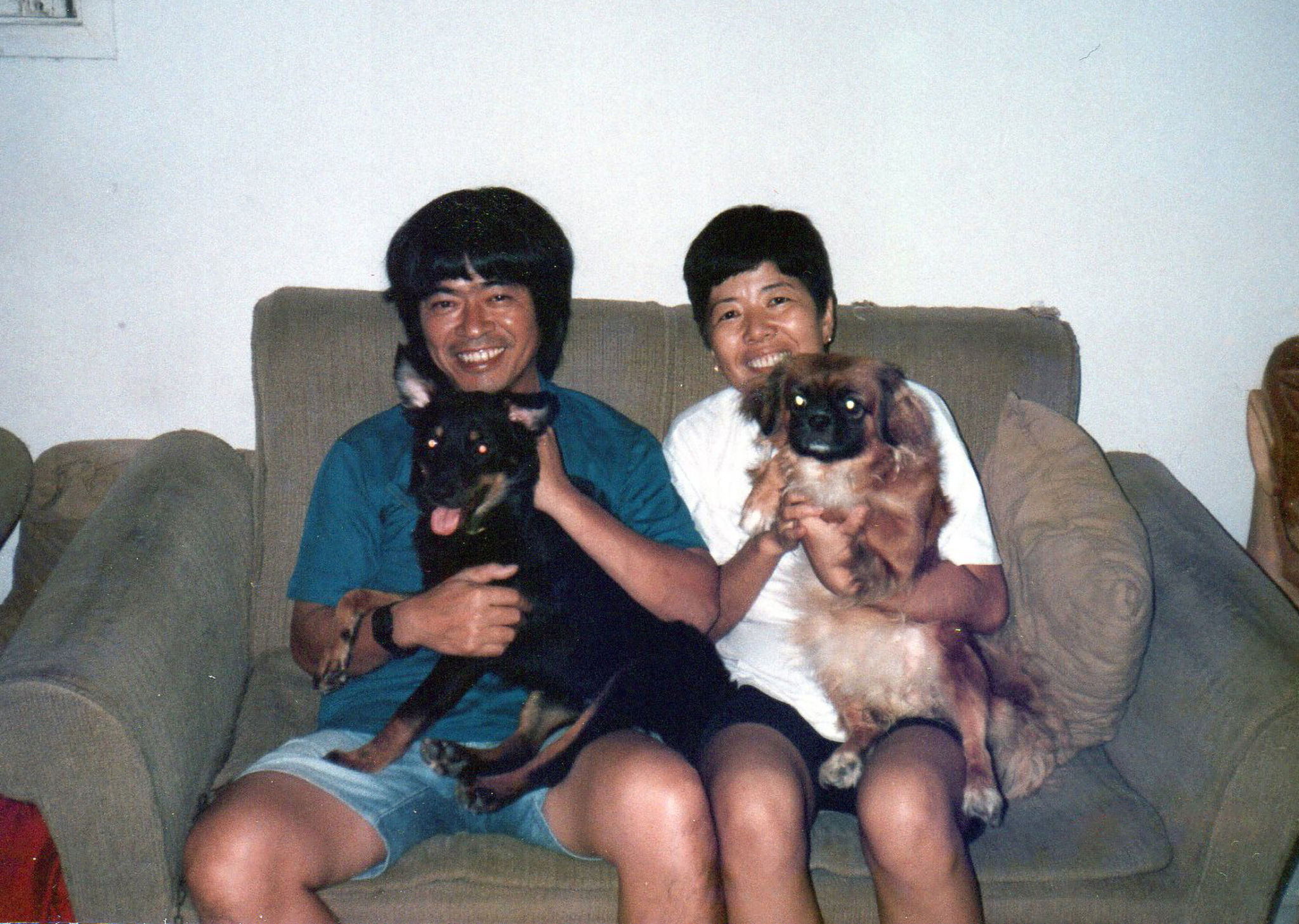 happy family dog