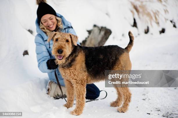 mature woman ready to walk her dog in the snow. - airedale terrier stock pictures, royalty-free photos & images