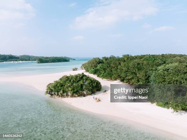 people waving at drone from deserted tropical island - okinawa aerial stock pictures, royalty-free photos & images