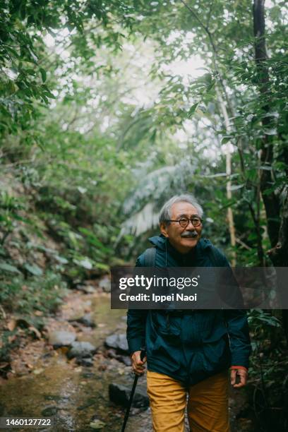 happy senior man hiking in forest - レインコート ストックフォトと画像