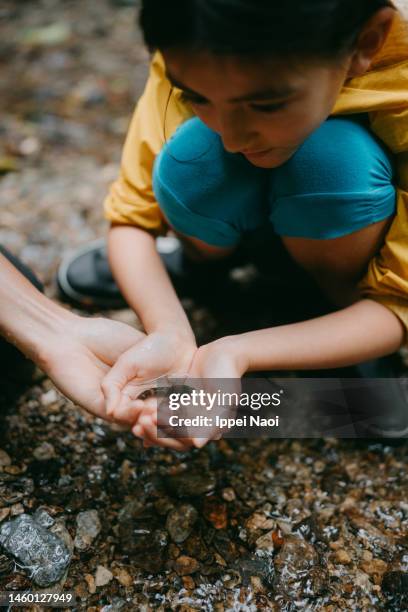 child caught goby fish in stream - kids at river stock-fotos und bilder